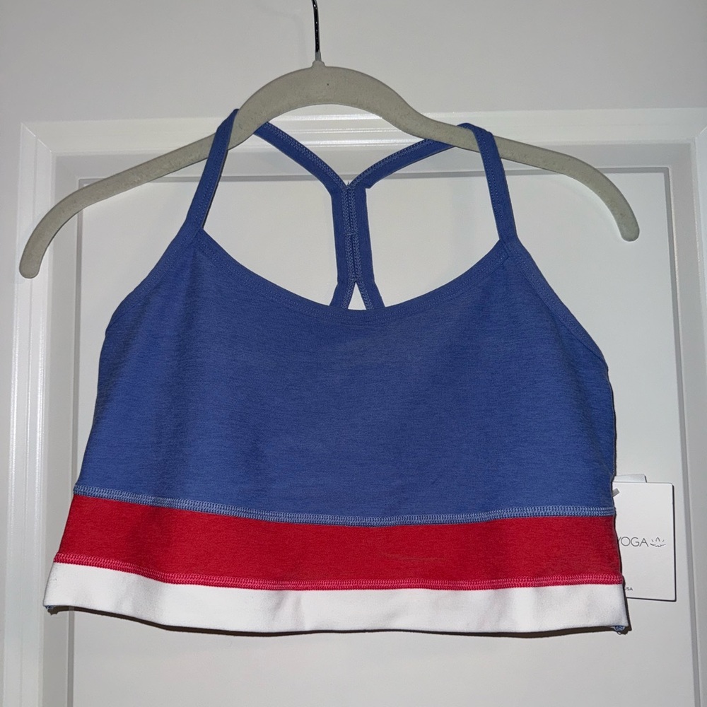 Periwinkle & Pink cropped Women's Top